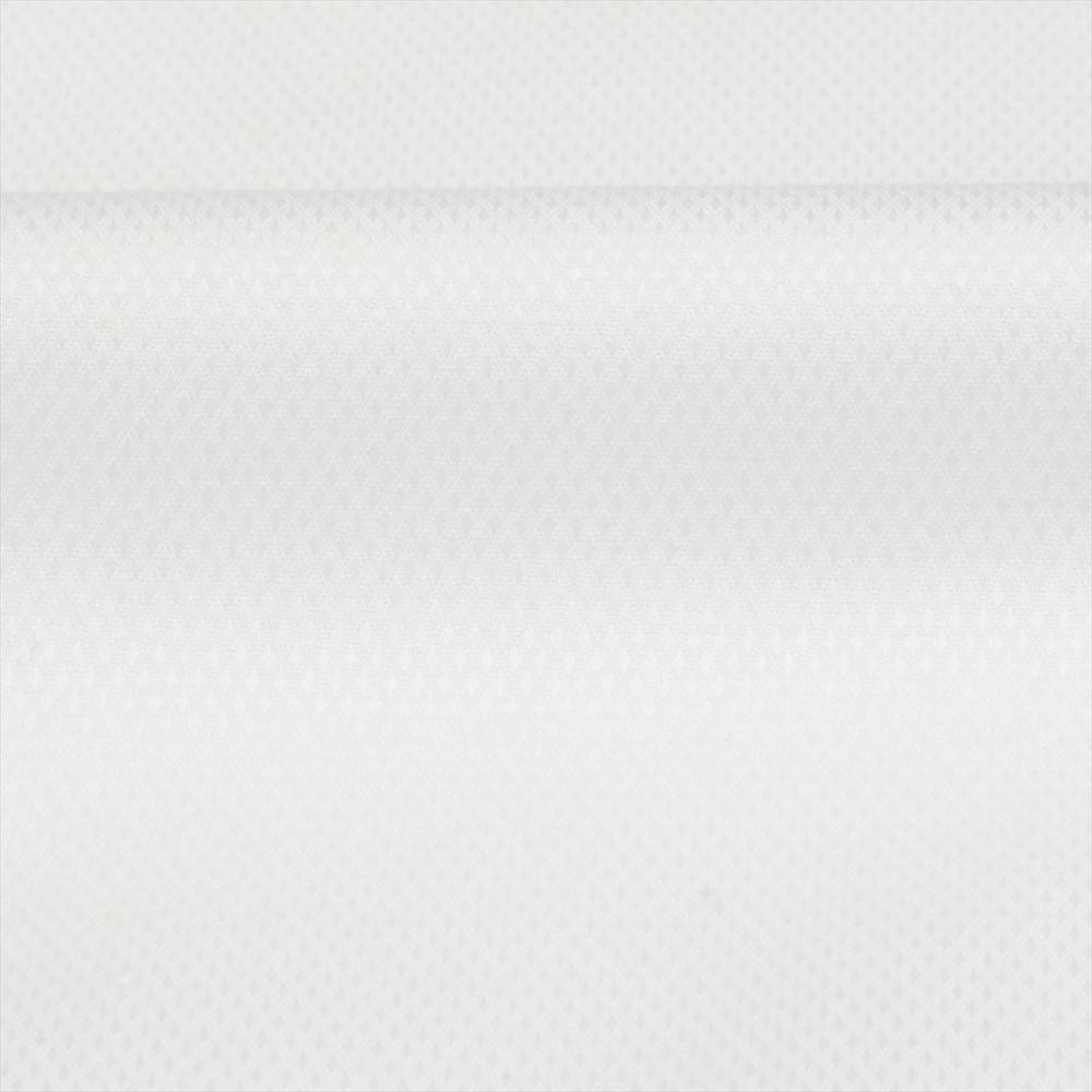 【ツイステッドワンダーランド】 サバナクロー寮 レギュラー 長袖 形態安定 レディースシャツ 綿100%